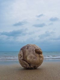 Close-up of rock on beach against sky