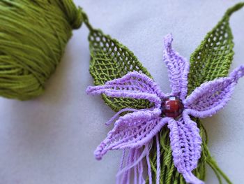 Close-up of pink and purple flower