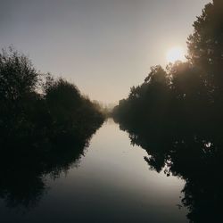 Silhouette trees by lake against clear sky during sunset