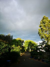 Road amidst trees against sky