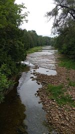 Scenic view of river in forest against sky