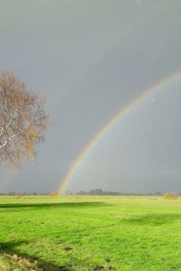 Scenic view of rainbow over field