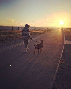 Dog walking on beach at sunset