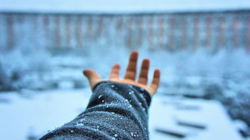 Low section of person wearing shoes