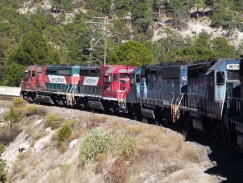 Train on road