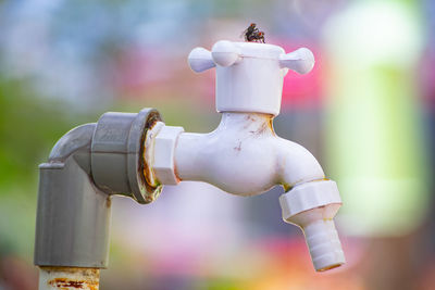 Close-up of faucet in container