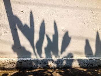 Shadow of people on wall