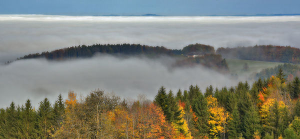 Panoramic view of forest against sky during autumn