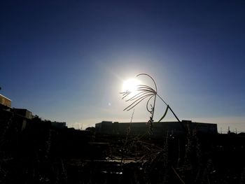 Silhouette cranes against clear sky during sunset