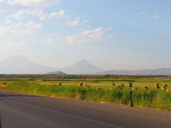 Scenic view of field against sky