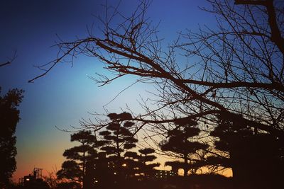 Low angle view of silhouette tree against clear sky