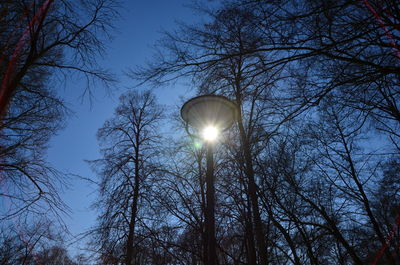 Low angle view of bare trees against sky