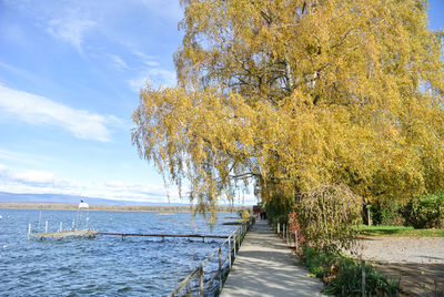 Footpath by trees against sky during autumn