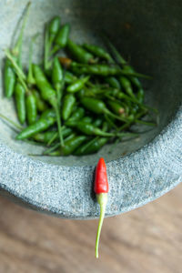 Close-up of hand holding red chili pepper