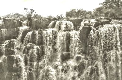 Close-up of tree against sky