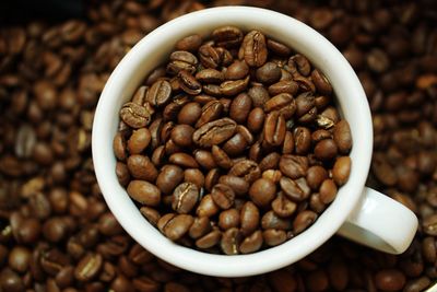 High angle view of coffee beans