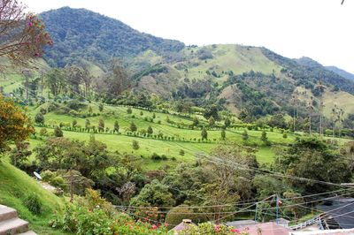 Scenic view of landscape against clear sky