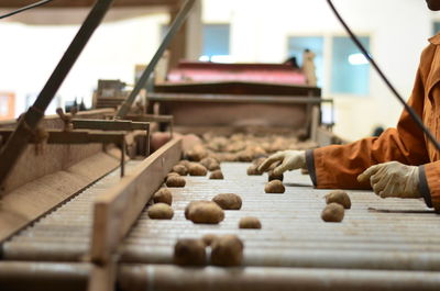 Worker on conveyor belt picking out food