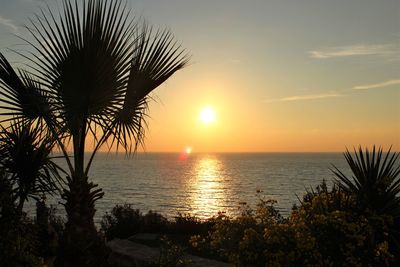 Silhouette palm tree by sea against sky during sunset