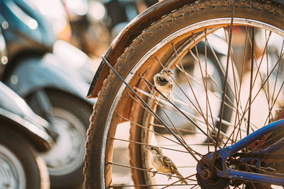 Close-up of bicycle wheel