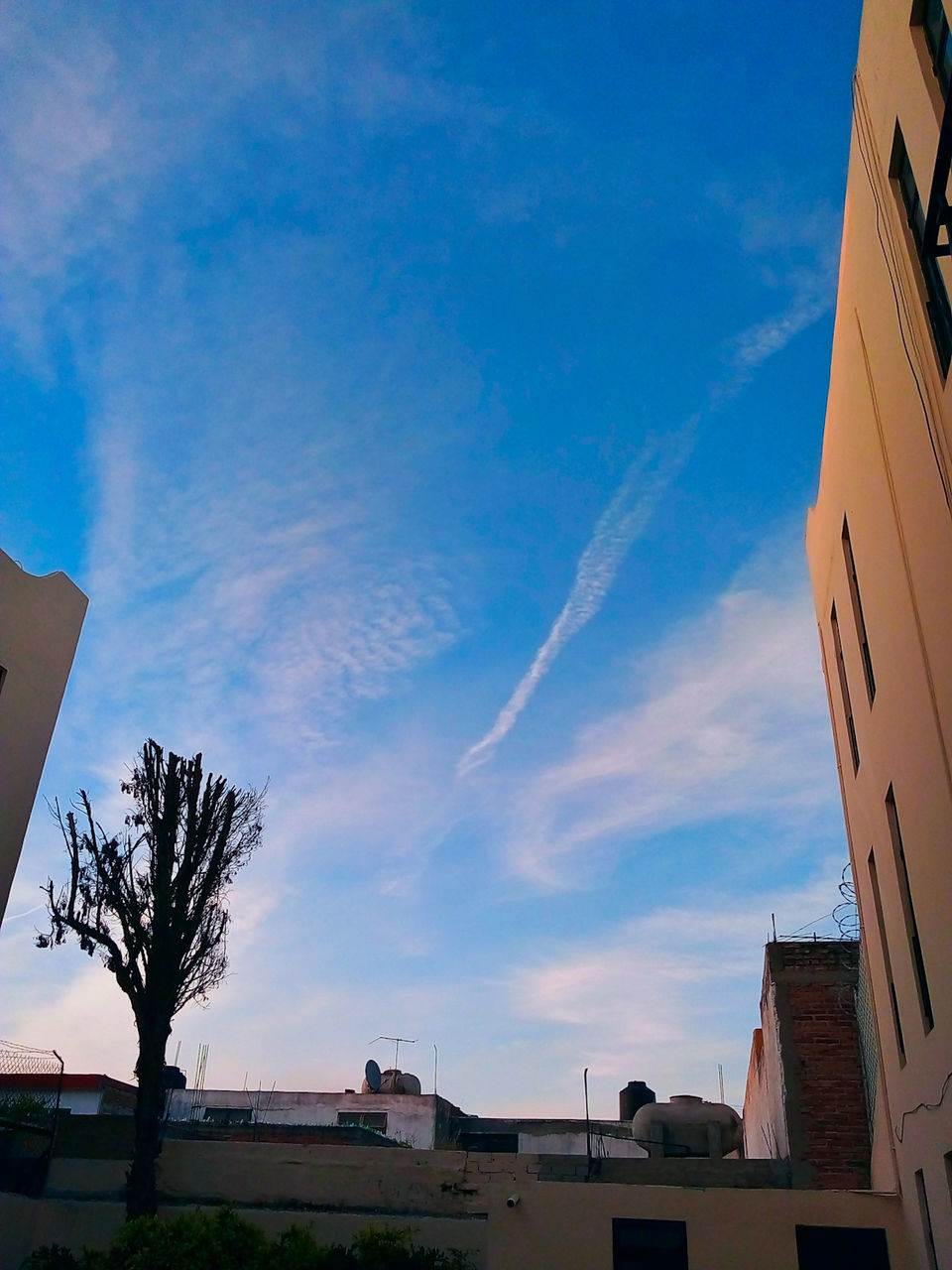 architecture, building exterior, built structure, sky, cloud - sky, building, nature, low angle view, tree, no people, blue, residential district, city, plant, house, day, outdoors, sunset, vapor trail, bare tree