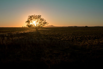 Scenic view of field against sky during sunset