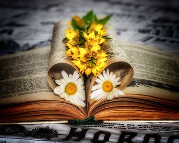 Close-up of yellow flower on book