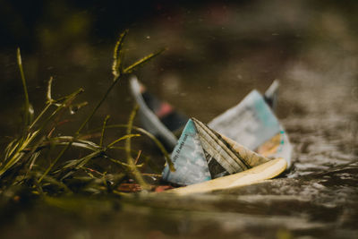 Close-up of water on paper