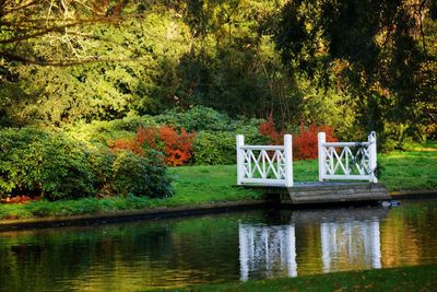 Scenic view of lake