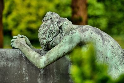 Close-up of statue against water