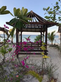 Built structure by plants against sea