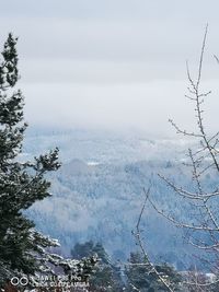 Scenic view of sea against sky during winter