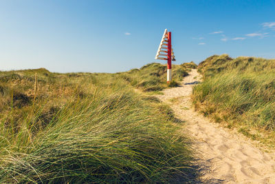 Ellenbogen, sylt