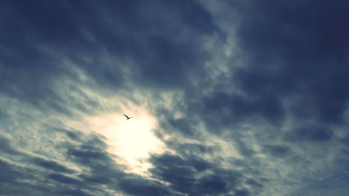 Low angle view of bird flying in sky