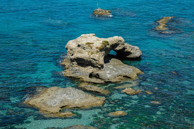 High angle view of turtle on rock by sea