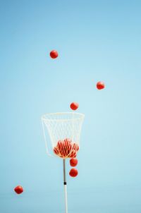 Low angle view of red berries against blue background