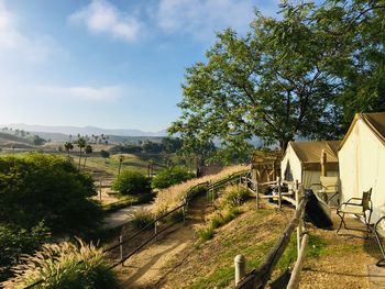 Trees on landscape against sky