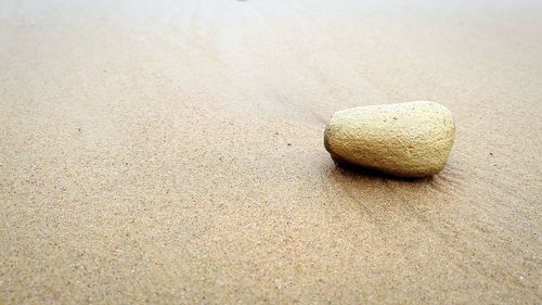 High angle view of stone on shore at beach