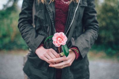 Midsection of man holding rose in front of roses