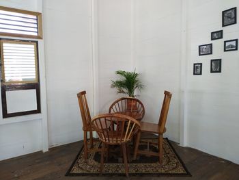 Potted plants on table by window at home