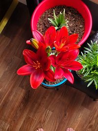 High angle view of red flower pot on table