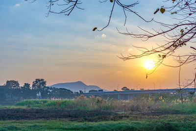 View of birds on land against sky during sunset