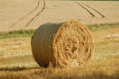 Hay bales on field