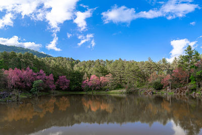 Scenic view of lake by trees against blue sky