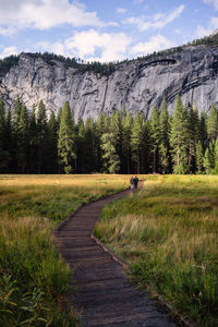 Footpath amidst trees on field against sky