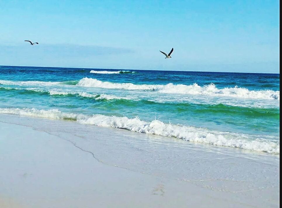 SCENIC VIEW OF BEACH AGAINST CLEAR BLUE SKY