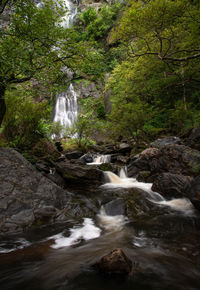 Waterfall in forest