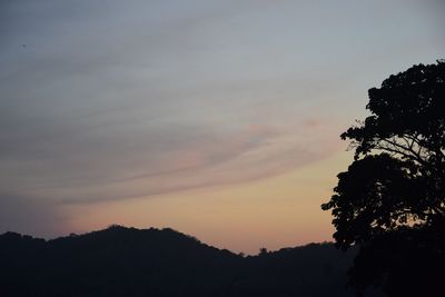 Low angle view of silhouette trees against sky at sunset