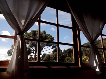 Low angle view of trees against sky seen from window