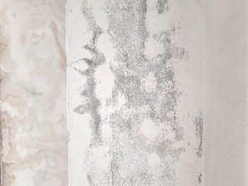 Close-up of white wall
